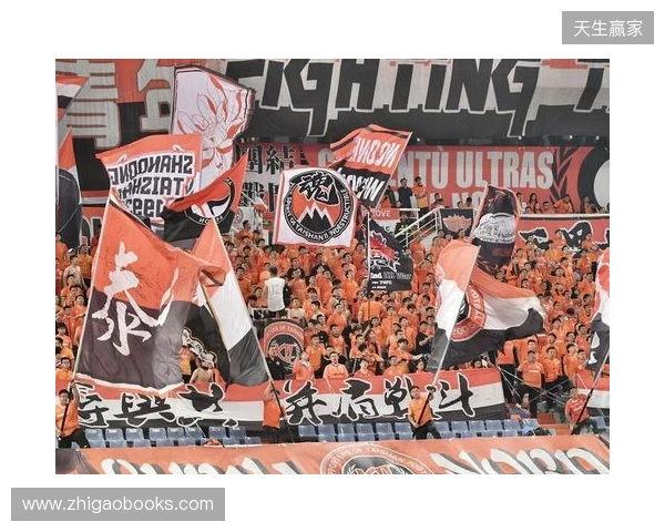 苗原谈泰山引援：账户里有200万水平购买力 但文旅决策尽量少花钱